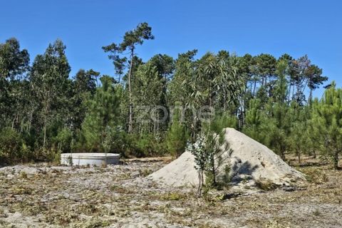Helårsgrund i Cantanhede, Coimbra, Cantanhede - € 65.000 | Ref: ZMPT571740 - foto 12
