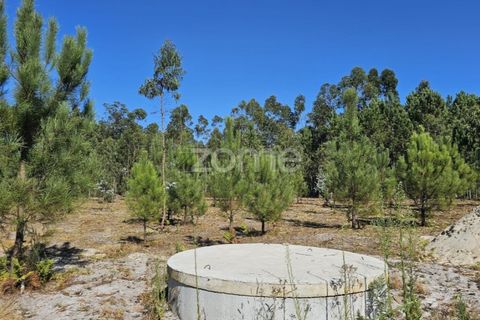 Helårsgrund i Cantanhede, Coimbra, Cantanhede - € 65.000 | Ref: ZMPT571740 - foto 13