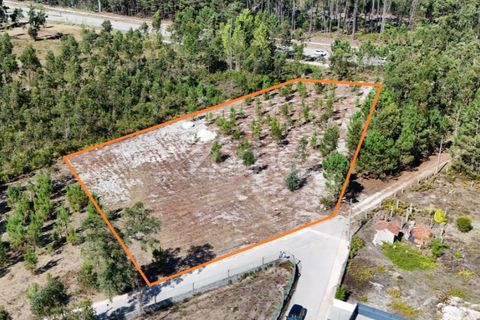 Helårsgrund i Cantanhede, Coimbra, Cantanhede - € 65.000 | Ref: ZMPT571740 - foto 16