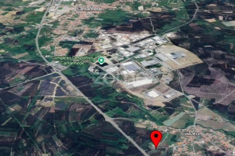 Helårsgrund i Cantanhede, Coimbra, Cantanhede - € 65.000 | Ref: ZMPT571740 - foto 21