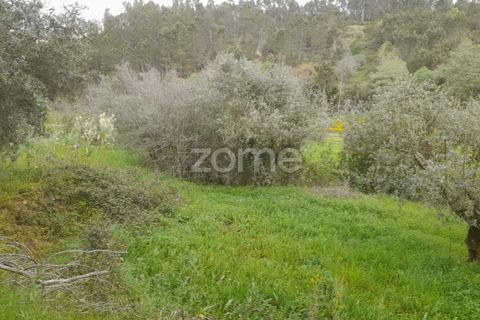 Helårsgrund i Soure, Coimbra, Soure - € 7.500 | Ref: ZMPT556516 - foto 1