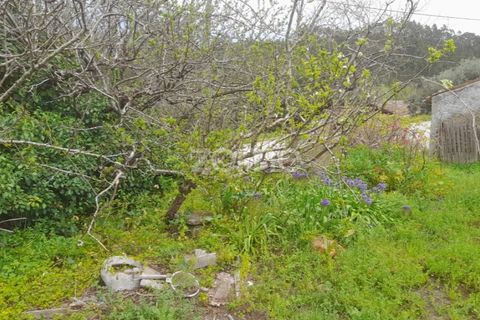 Helårsgrund i Soure, Coimbra, Soure - € 7.500 | Ref: ZMPT556516 - foto 4
