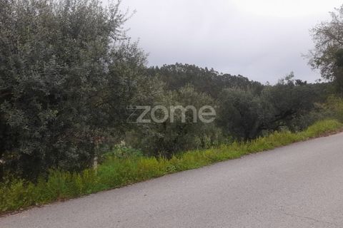 Helårsgrund i Soure, Coimbra, Soure - € 7.500 | Ref: ZMPT556516 - foto 5