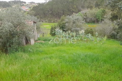 Helårsgrund i Soure, Coimbra, Soure - € 7.500 | Ref: ZMPT556516 - foto 6