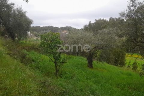 Helårsgrund i Soure, Coimbra, Soure - € 7.500 | Ref: ZMPT556516 - foto 10