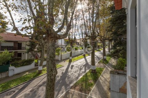 Villa i Anadia, Aveiro, Anadia - € 790.000 | Ref: ZMPT572028 - foto 48