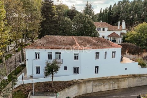 Villa i Anadia, Aveiro, Anadia - € 790.000 | Ref: ZMPT572028 - foto 2