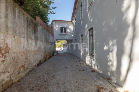 Villa i Anadia, Aveiro, Anadia - € 790.000 | Ref: ZMPT572028 - foto 19