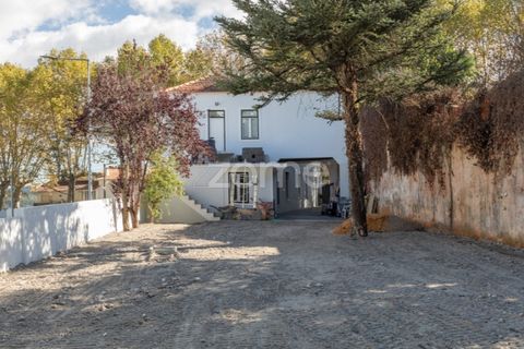 Villa i Anadia, Aveiro, Anadia - € 790.000 | Ref: ZMPT572028 - foto 23
