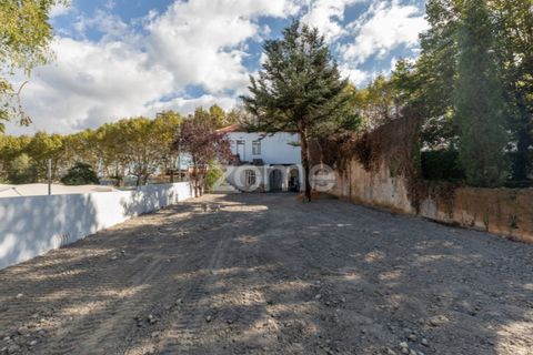 Villa i Anadia, Aveiro, Anadia - € 790.000 | Ref: ZMPT572028 - foto 24