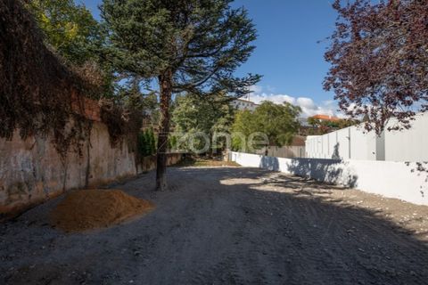 Villa i Anadia, Aveiro, Anadia - € 790.000 | Ref: ZMPT572028 - foto 25