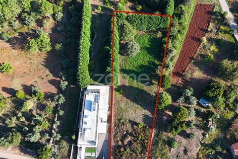Terra a Cernache, Coimbra, Cernache - € 59.900 | Ref: ZMPT570074 - foto 2