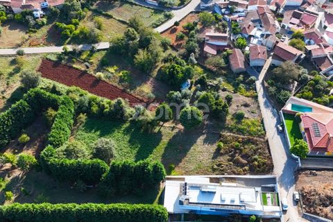 Terra a Cernache, Coimbra, Cernache - € 59.900 | Ref: ZMPT570074 - foto 3