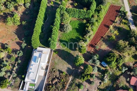 Terra a Cernache, Coimbra, Cernache - € 59.900 | Ref: ZMPT570074 - foto 4