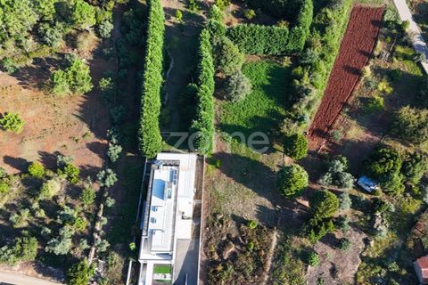 Terra a Cernache, Coimbra, Cernache - € 59.900 | Ref: ZMPT570074 - foto 5