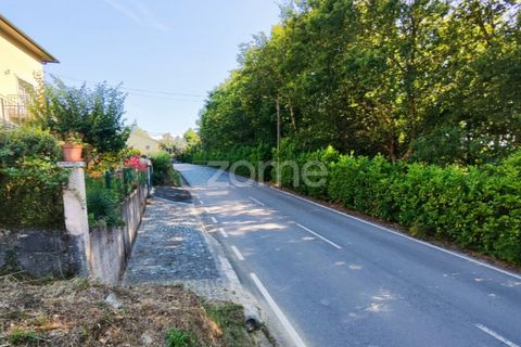 Helårsgrund i Viseu, Viseu, Viseu - € 60.000 | Ref: ZMPT568152 - foto 5