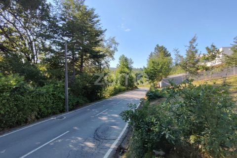 Helårsgrund i Viseu, Viseu, Viseu - € 60.000 | Ref: ZMPT568152 - foto 6