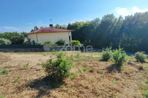 Helårsgrund i Viseu, Viseu, Viseu - € 60.000 | Ref: ZMPT568152 - foto 3