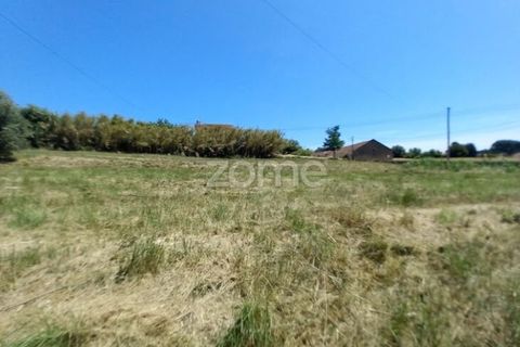 Helårsgrund i Anadia, Aveiro, Anadia - € 81.500 | Ref: ZMPT552577 - foto 1