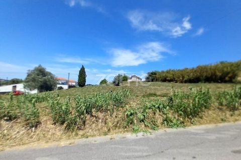 Helårsgrund i Anadia, Aveiro, Anadia - € 81.500 | Ref: ZMPT552577 - foto 2