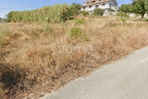Helårsgrund i Anadia, Aveiro, Anadia - € 81.500 | Ref: ZMPT552577 - foto 7