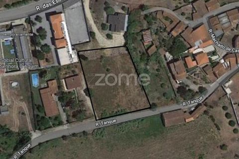 Helårsgrund i Anadia, Aveiro, Anadia - € 81.500 | Ref: ZMPT552577 - foto 8