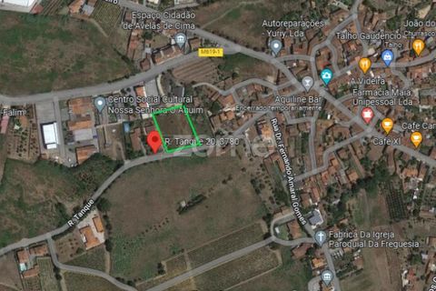 Helårsgrund i Anadia, Aveiro, Anadia - € 81.500 | Ref: ZMPT552577 - foto 9