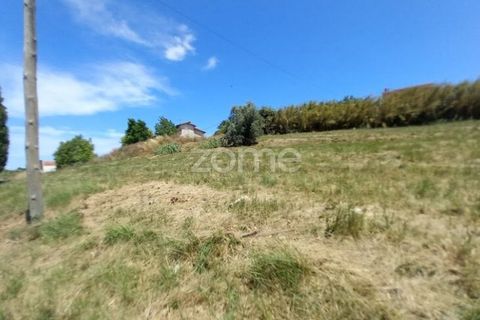 Helårsgrund i Anadia, Aveiro, Anadia - € 81.500 | Ref: ZMPT552577 - foto 10