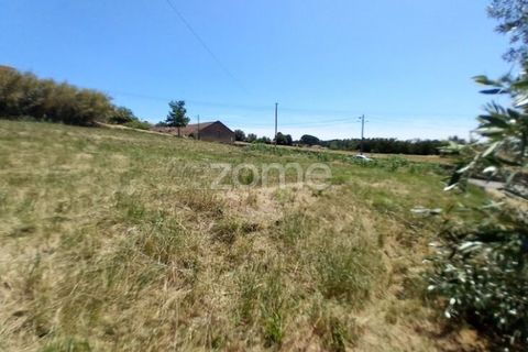Helårsgrund i Anadia, Aveiro, Anadia - € 81.500 | Ref: ZMPT552577 - foto 11