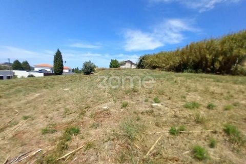 Helårsgrund i Anadia, Aveiro, Anadia - € 81.500 | Ref: ZMPT552577 - foto 13