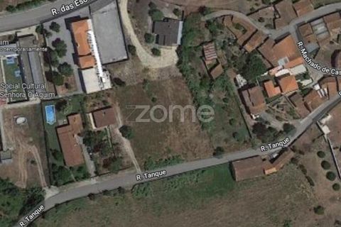 Helårsgrund i Anadia, Aveiro, Anadia - € 81.500 | Ref: ZMPT552577 - foto 14