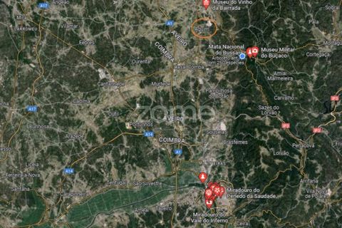 Helårsgrund i Anadia, Aveiro, Anadia - € 81.500 | Ref: ZMPT552577 - foto 15