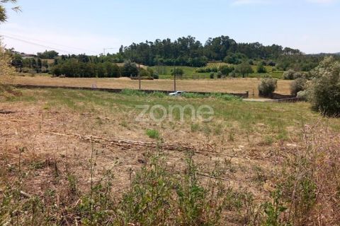 Helårsgrund i Anadia, Aveiro, Anadia - € 81.500 | Ref: ZMPT552577 - foto 17