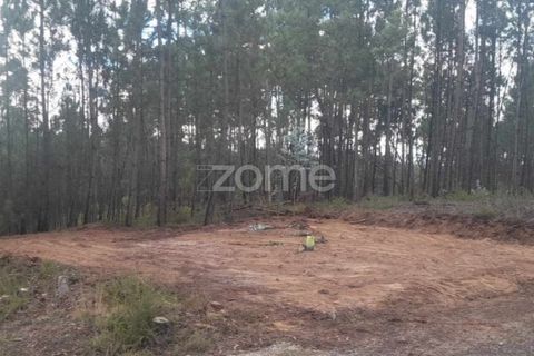 Helårsgrund i Pombal, Leiria, Pombal - € 32.500 | Ref: ZMPT570921 - foto 5