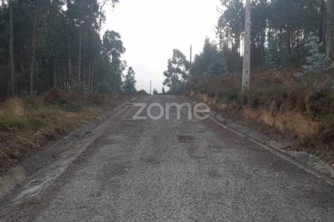 Helårsgrund i Pombal, Leiria, Pombal - € 32.500 | Ref: ZMPT570921 - foto 6