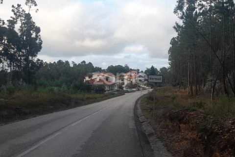 Helårsgrund i Pombal, Leiria, Pombal - € 32.500 | Ref: ZMPT570921 - foto 19
