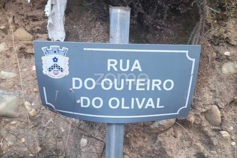 Helårsgrund i Pombal, Leiria, Pombal - € 32.500 | Ref: ZMPT570921 - foto 1