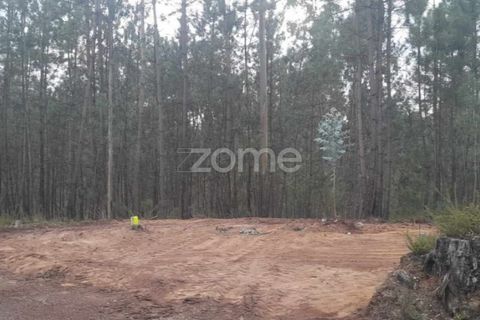 Helårsgrund i Pombal, Leiria, Pombal - € 32.500 | Ref: ZMPT570921 - foto 17