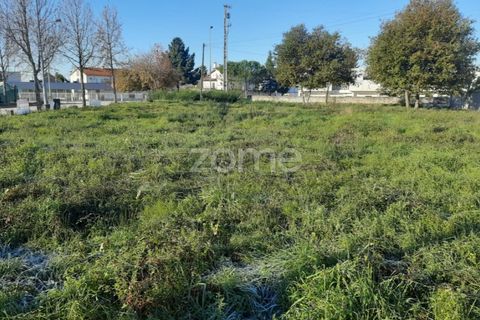 Tomt i Abraveses, Viseu, Abraveses - € 330 000 | Ref: ZMPT563343 - foto 13
