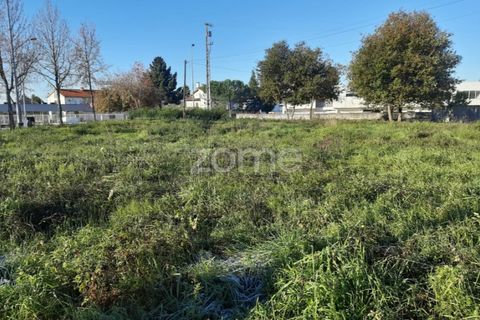 Tomt i Abraveses, Viseu, Abraveses - € 330 000 | Ref: ZMPT563343 - foto 14