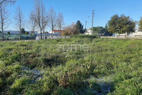 Tomt i Abraveses, Viseu, Abraveses - € 330 000 | Ref: ZMPT563343 - foto 15
