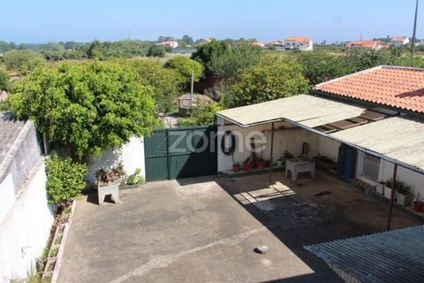 Villa a Lavos, Coimbra, Lavos - € 290.000 | Ref: ZMPT568570 - foto 3