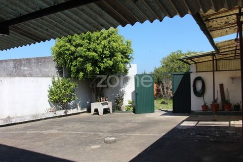 Villa a Lavos, Coimbra, Lavos - € 290.000 | Ref: ZMPT568570 - foto 25
