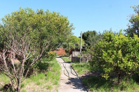 Villa a Lavos, Coimbra, Lavos - € 290.000 | Ref: ZMPT568570 - foto 28