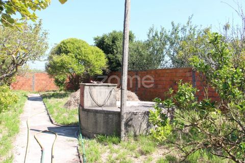 Villa a Lavos, Coimbra, Lavos - € 290.000 | Ref: ZMPT568570 - foto 31