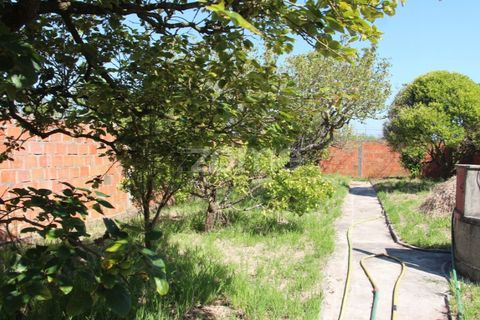Villa a Lavos, Coimbra, Lavos - € 290.000 | Ref: ZMPT568570 - foto 32