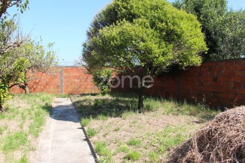 Villa a Lavos, Coimbra, Lavos - € 290.000 | Ref: ZMPT568570 - foto 33