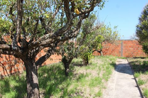 Villa a Lavos, Coimbra, Lavos - € 290.000 | Ref: ZMPT568570 - foto 34