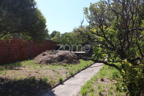 Villa a Lavos, Coimbra, Lavos - € 290.000 | Ref: ZMPT568570 - foto 36