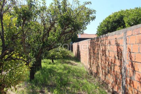 Villa a Lavos, Coimbra, Lavos - € 290.000 | Ref: ZMPT568570 - foto 37